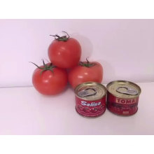 mercado de áfrica bajo costo 70g lata fácil de abrir duro abierto puro tomate pasta alimentos enlatados 28-30% pasta tomate doble concentrado
